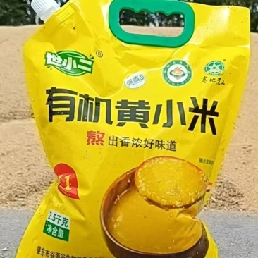 有机黄小米