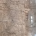 大樱桃树