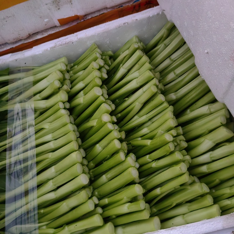 你们需要的好质量菜心上市了，需要的可以找我下单了