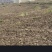 土地出租。