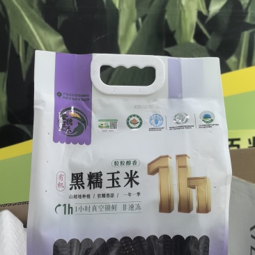 真空包装有机鲜糯玉米白糯、黄糯、黑糯