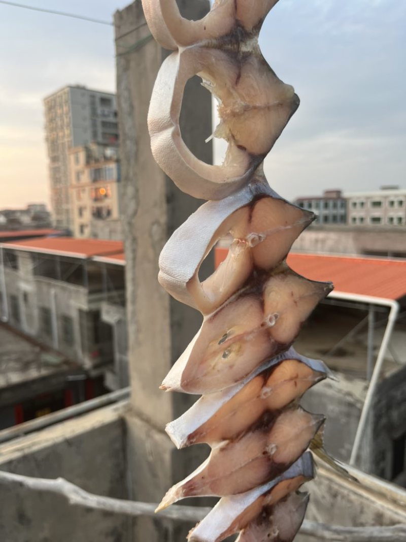 深海金鲳鱼干