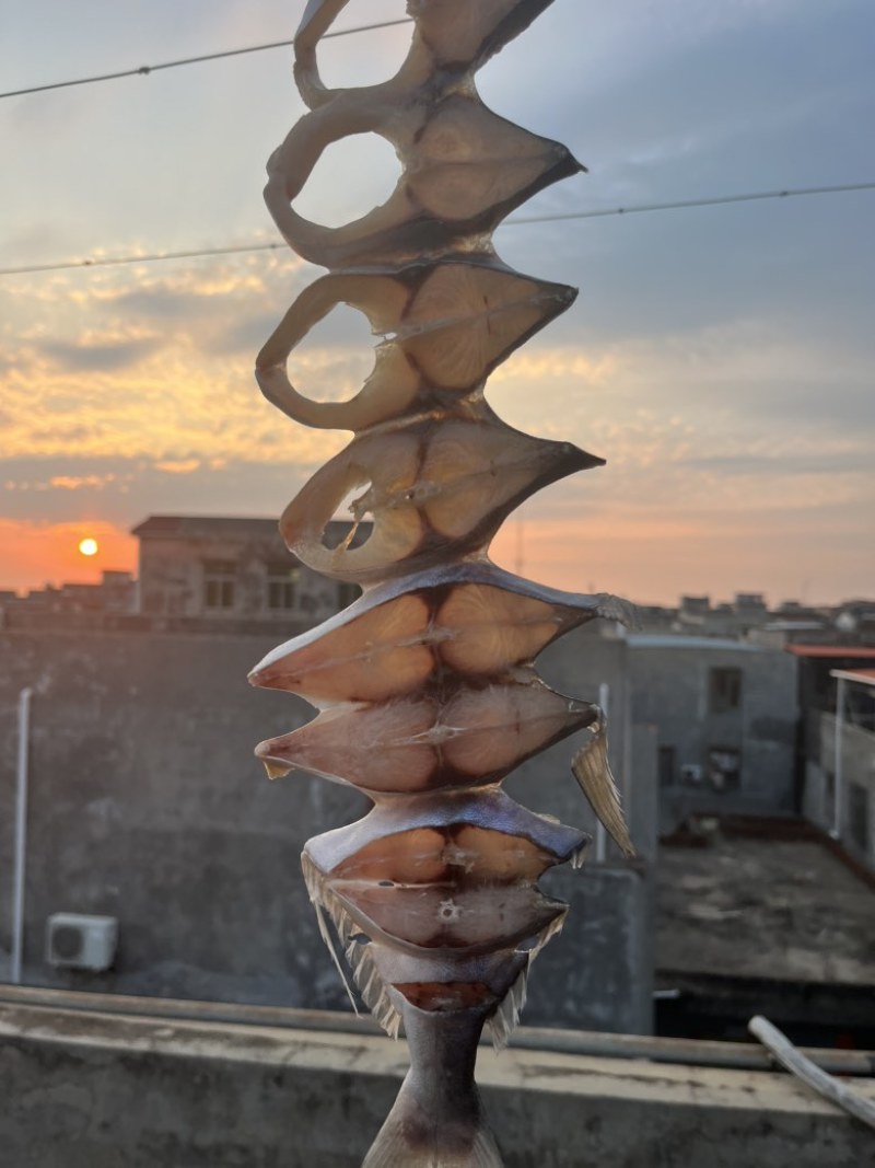 深海金鲳鱼干
