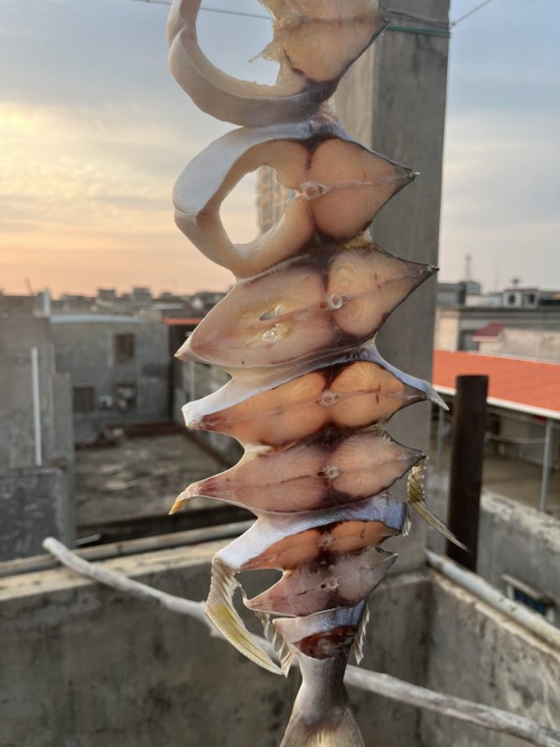 深海金鲳鱼干