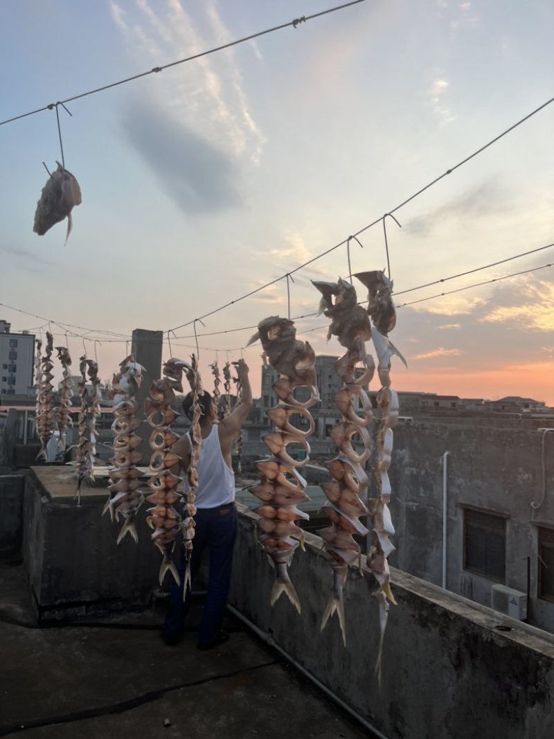 深海金鲳鱼干