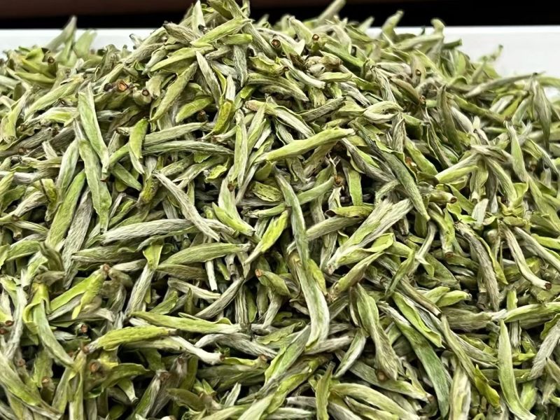 很困难.但是依然在坚持。一个茶农的无奈………………茶青制作成