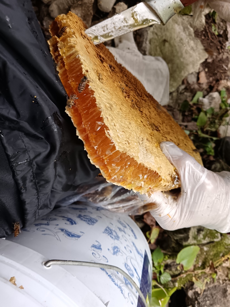 自然成熟封盖土蜂蜜，***********