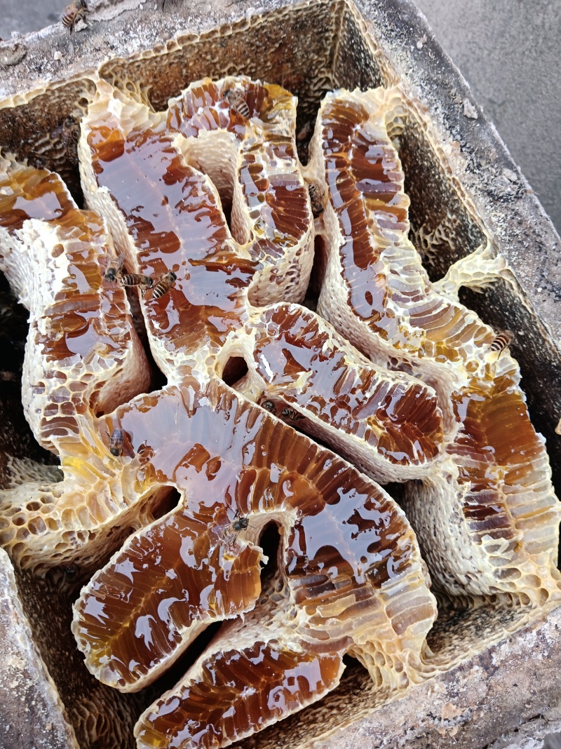 自然成熟封盖土蜂蜜，***********