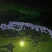 散养土鹅蛋