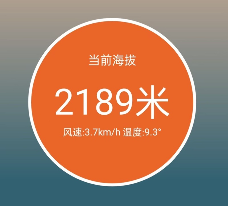 高山晚熟碰柑！