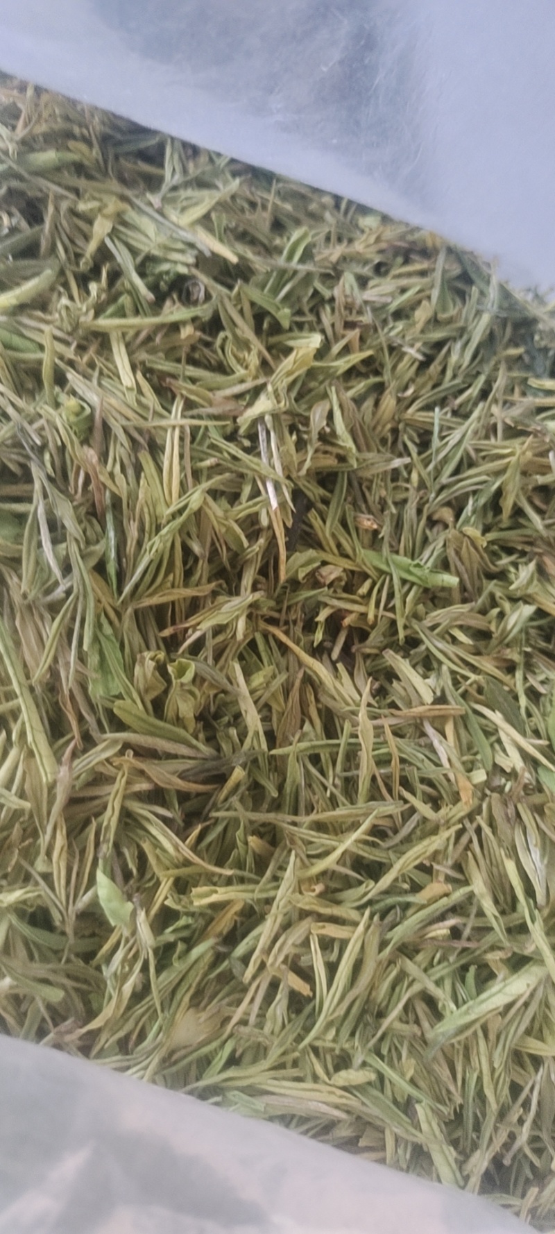 恩施富硒白茶