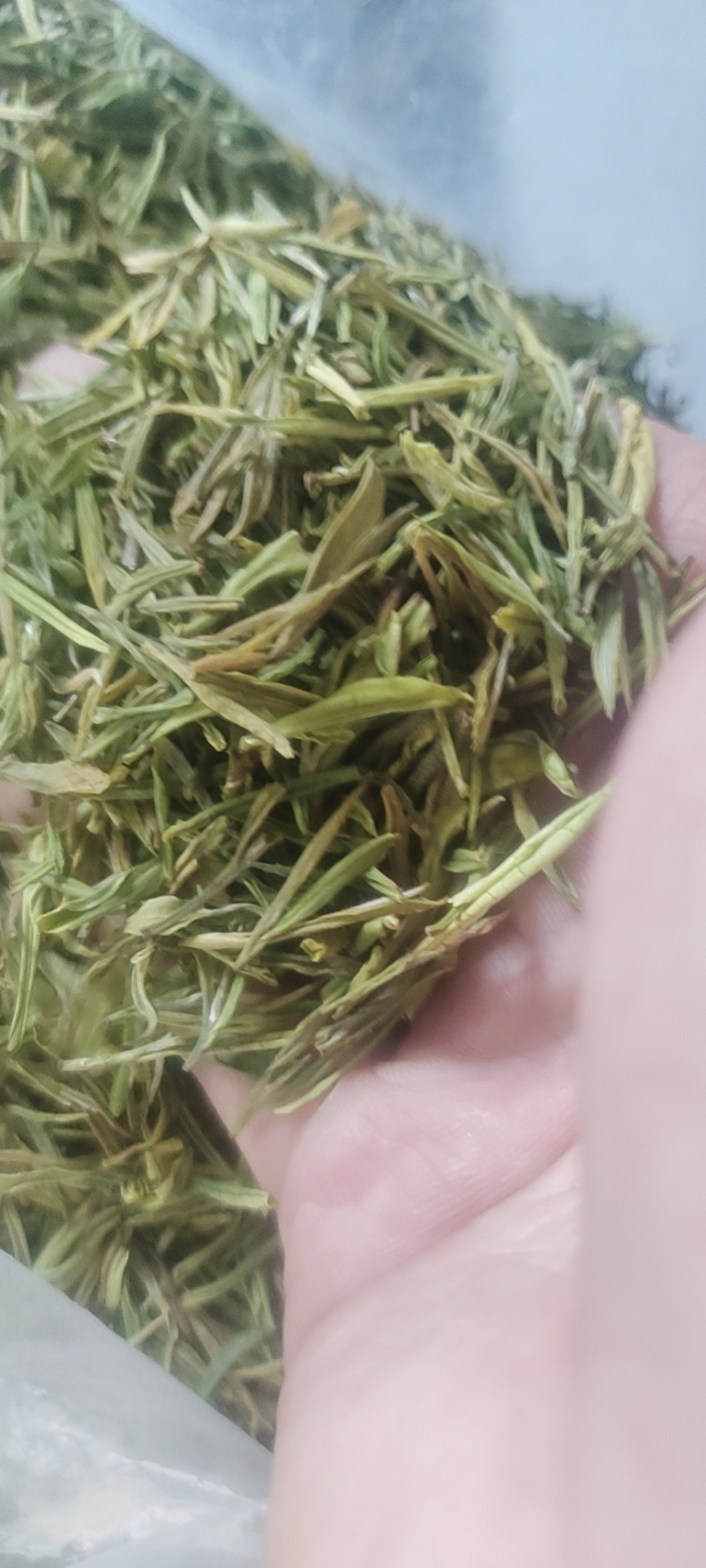 恩施富硒白茶