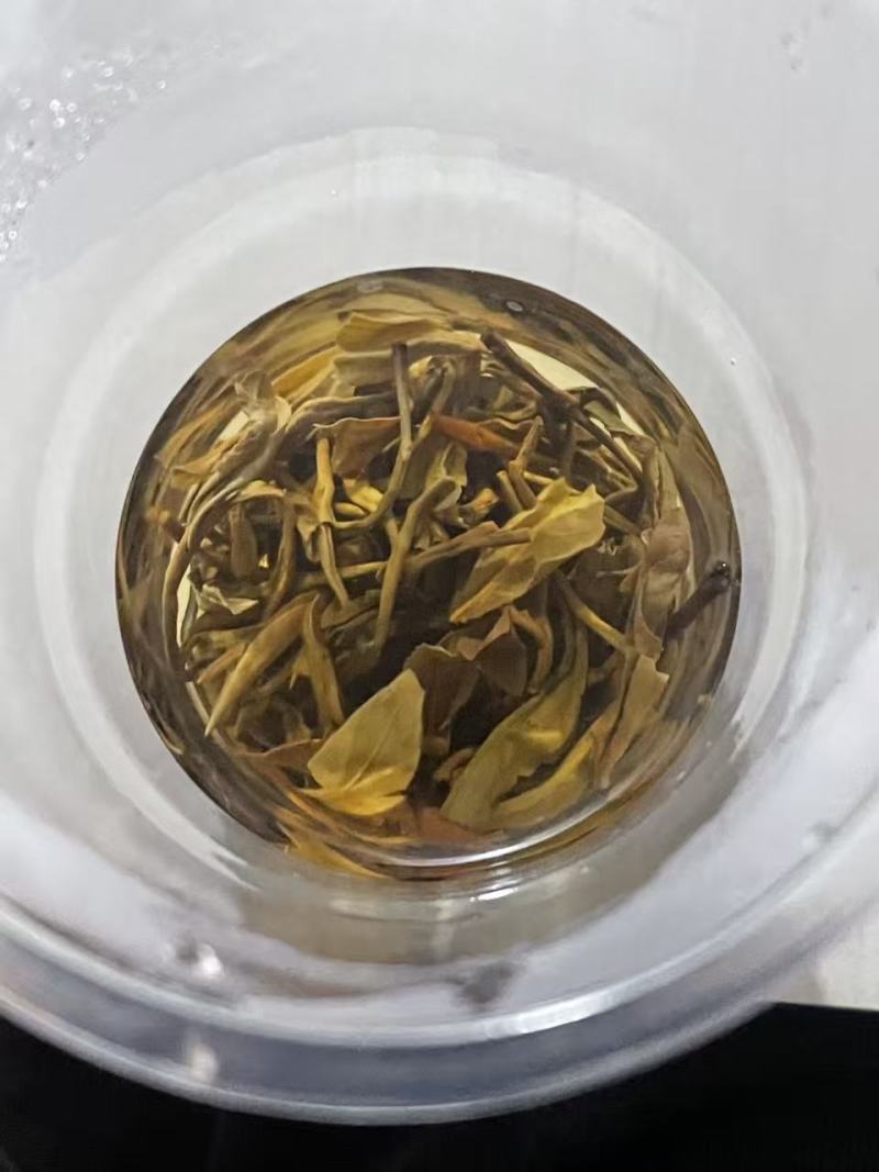贵州白茶