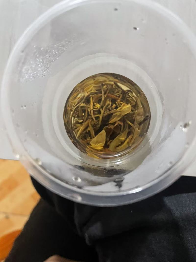 贵州白茶