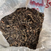 贵州白茶
