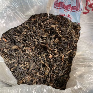 贵州白茶