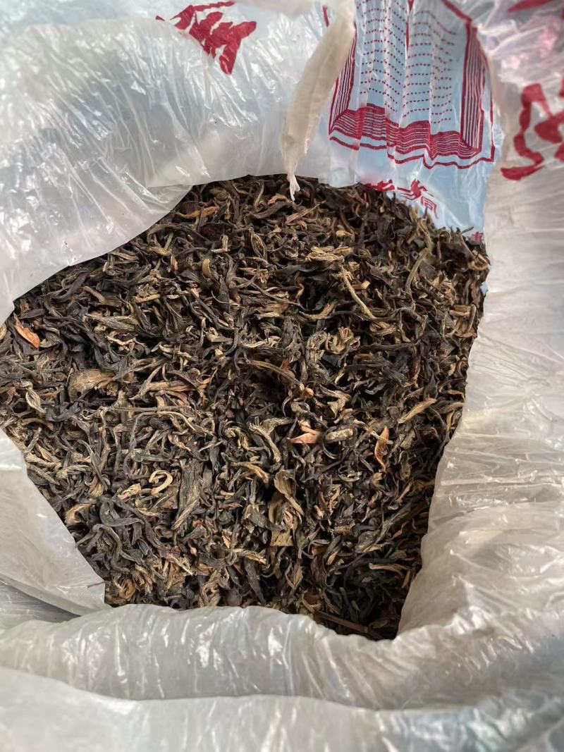 贵州白茶