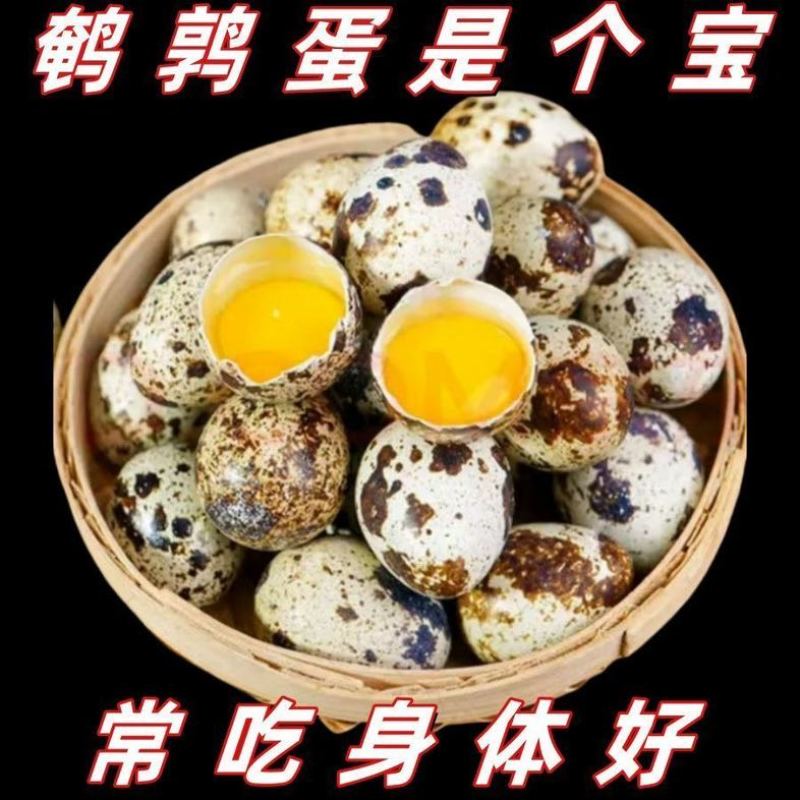 农家鹌鹑蛋杂粮喂养整箱批发儿童孕妇辅食***