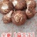 麻芋儿，半夏