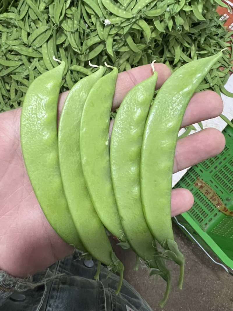 源头产地供电商市场商超农残价格一手全面供应