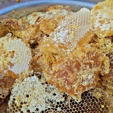 云南保山野生蜂蜜