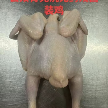 西装鸡工厂直发规格齐全新货新发