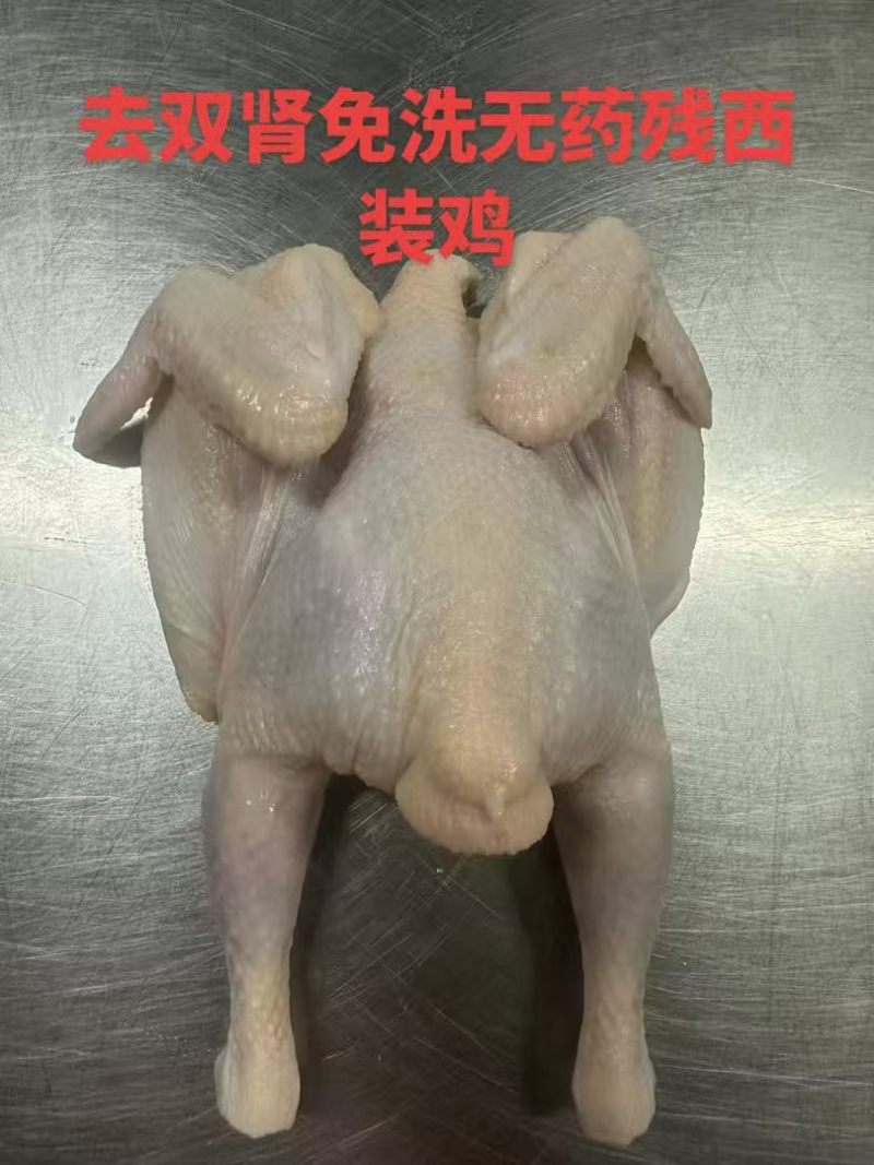 西装鸡工厂直发规格齐全新货新发