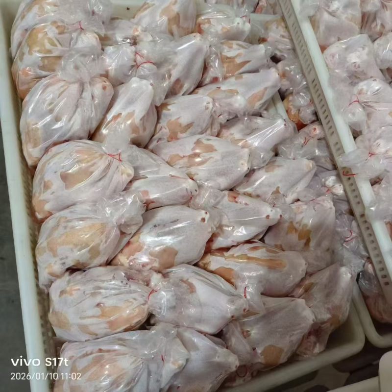西装鸡工厂直发规格齐全新货新发