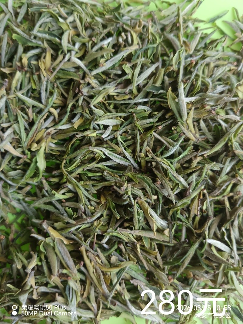 霍山黄芽