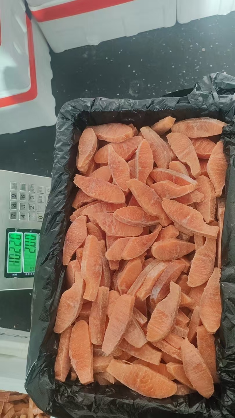 宠物鱼条