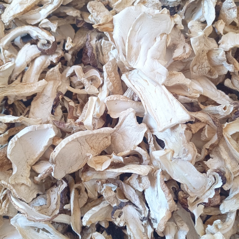 赤松茸干片