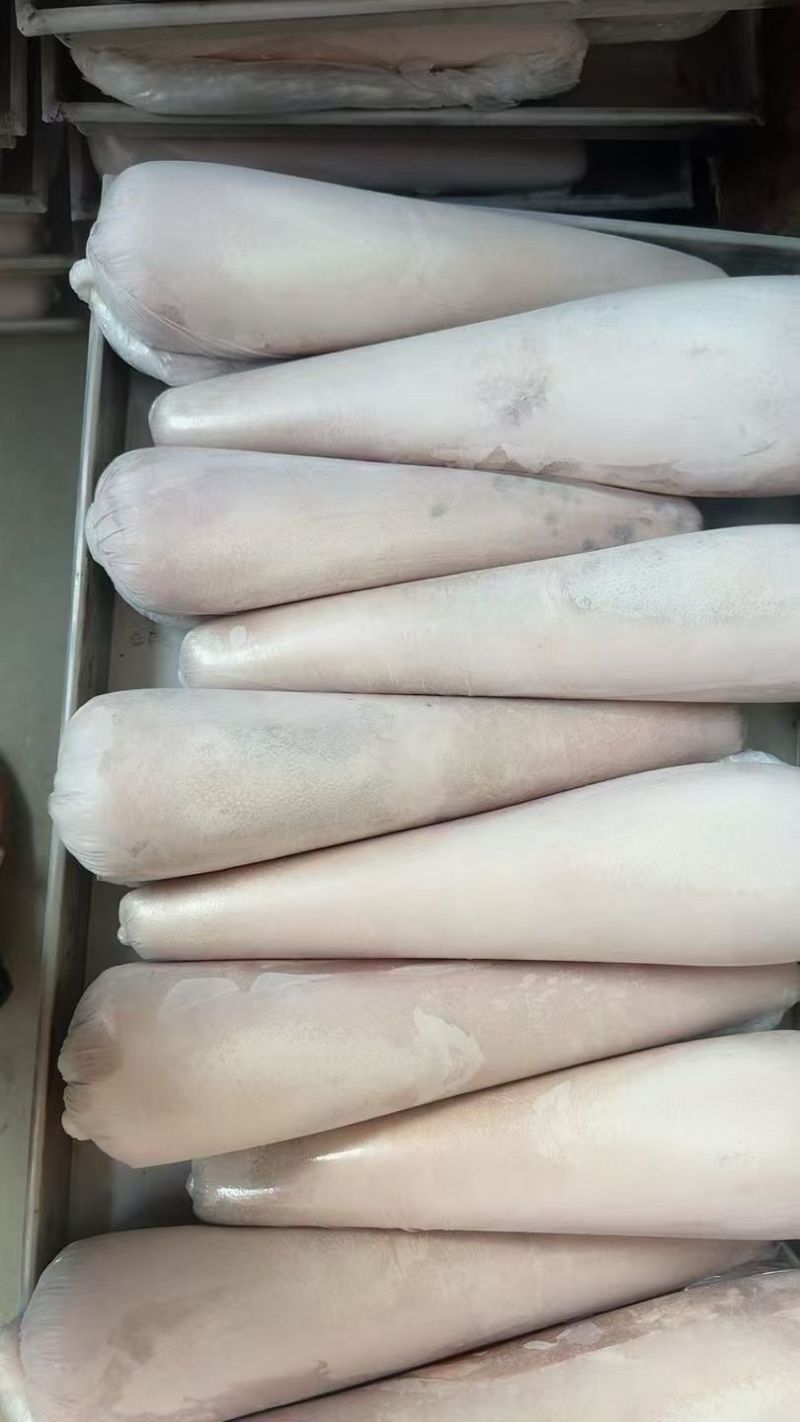 牛舌