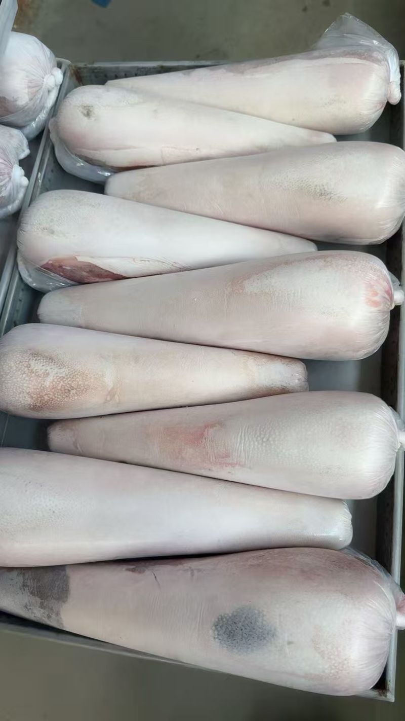 牛舌