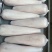 牛舌