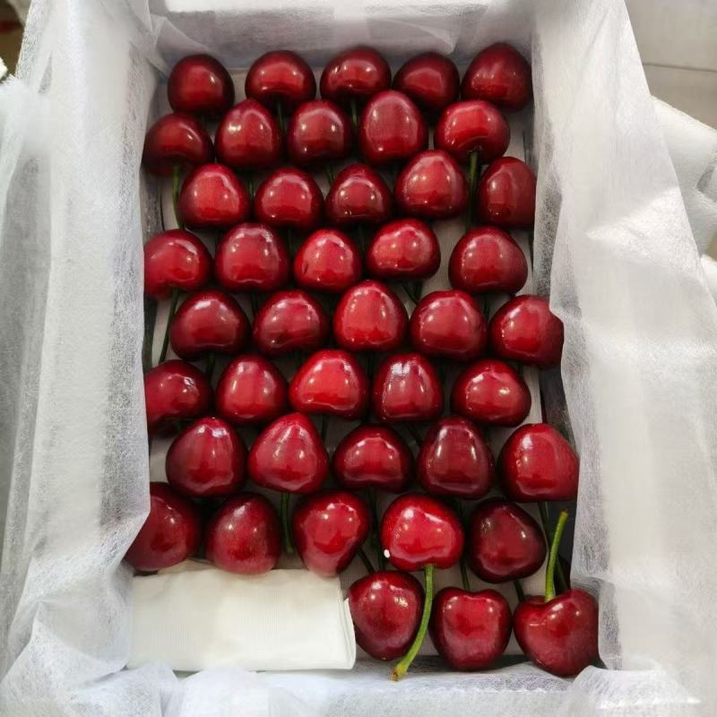 精品美早樱桃，各大电商供应链常年供货，一件代发