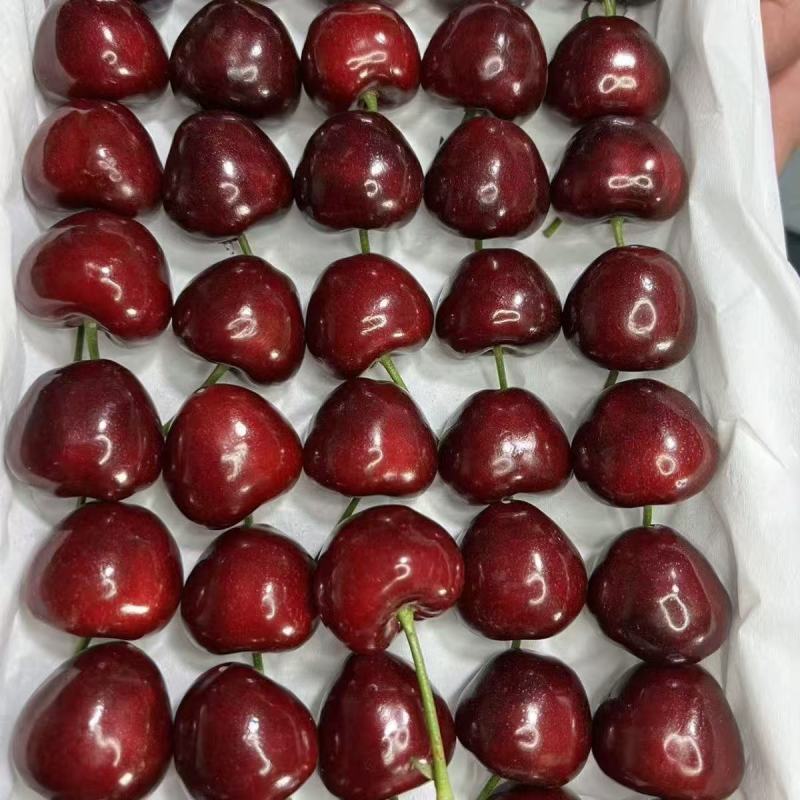 精品美早樱桃，各大电商供应链常年供货，一件代发