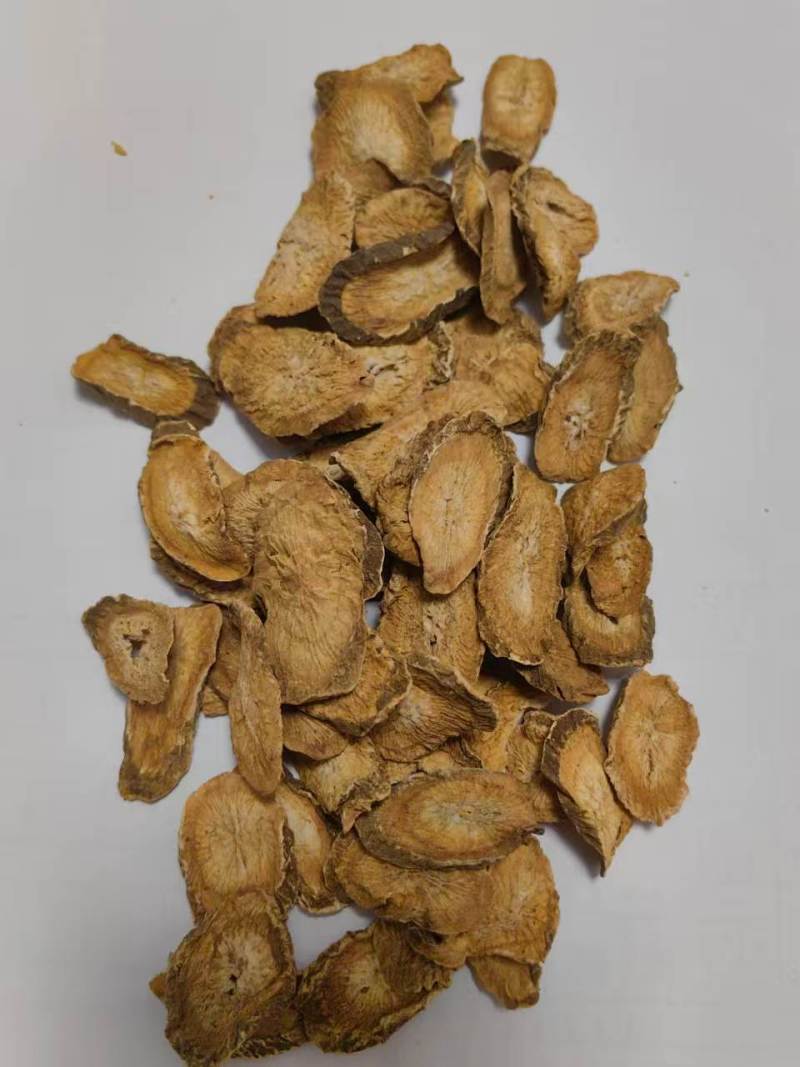 黄金牛蒡茶
