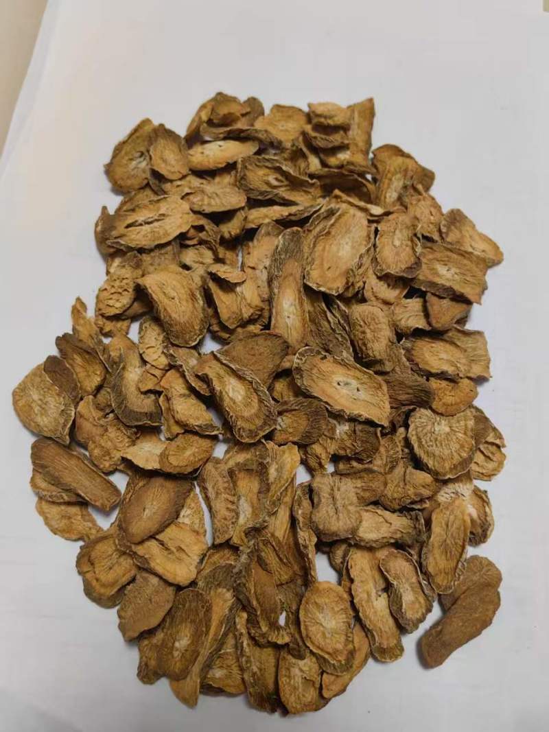 黄金牛蒡茶