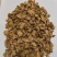 黄金牛蒡茶