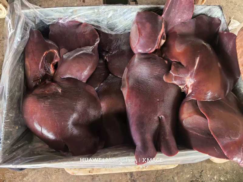饲料级猪肝