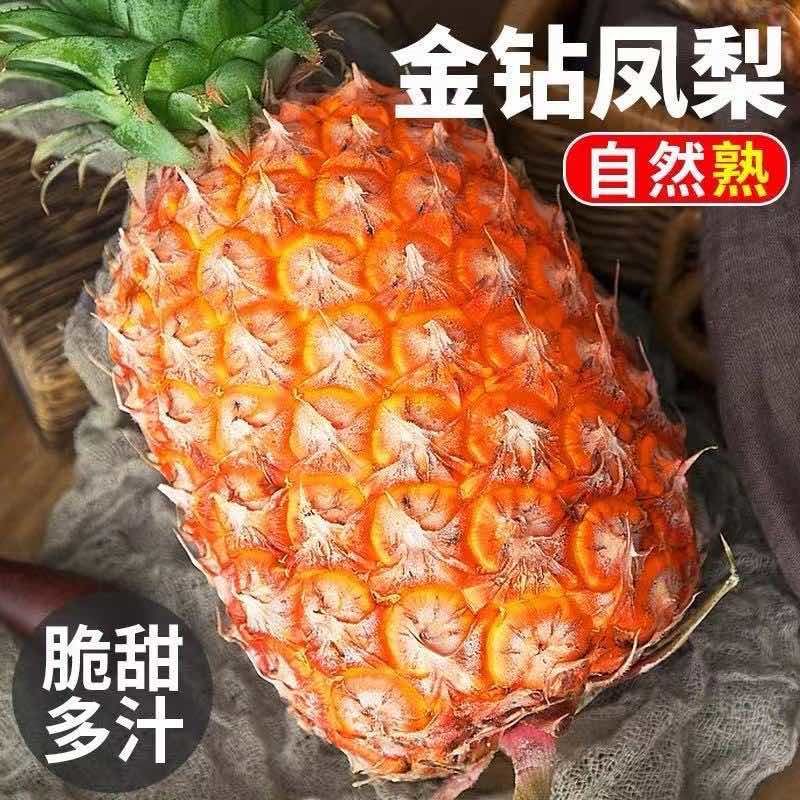 海南金钻凤梨一件代发15元包邮大果