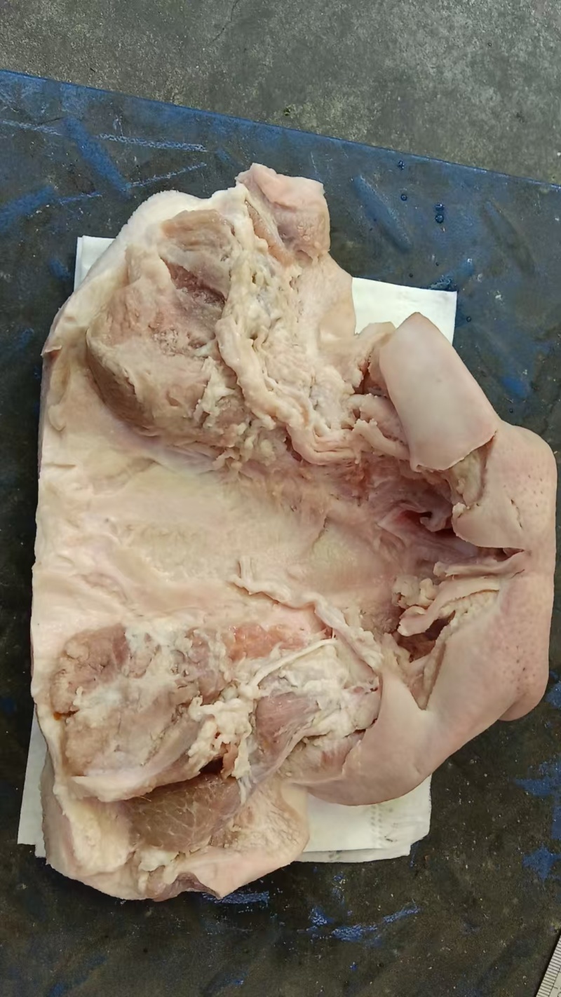猪拱嘴