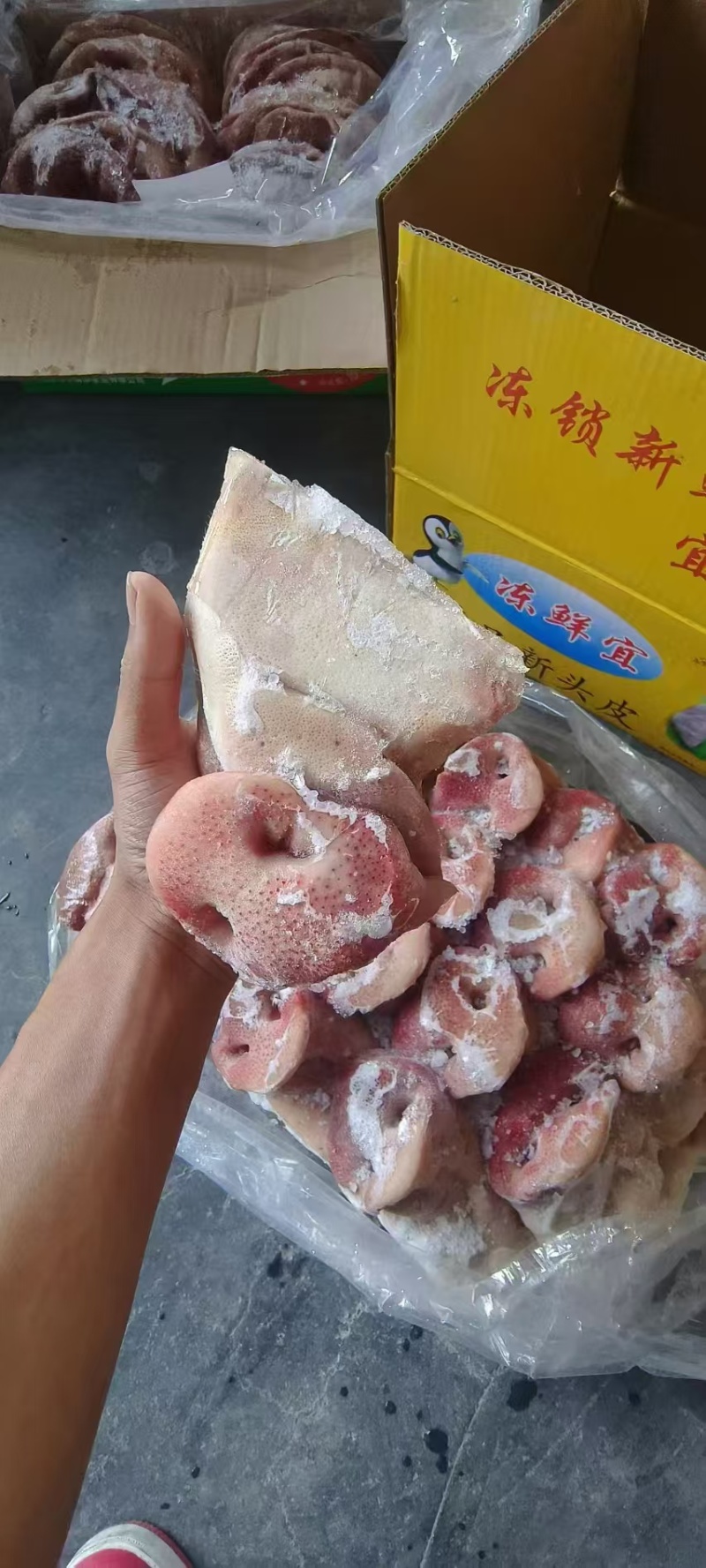 猪拱嘴