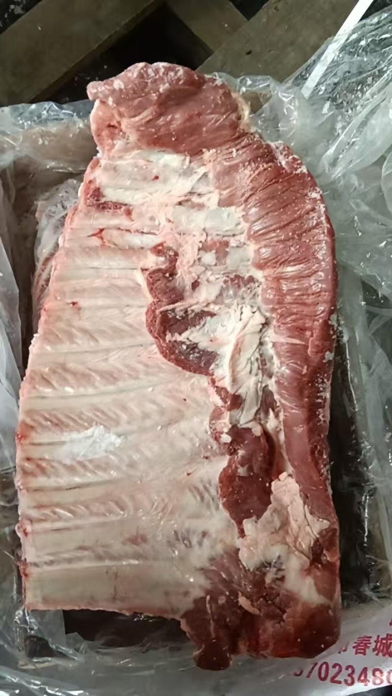 母猪肋排