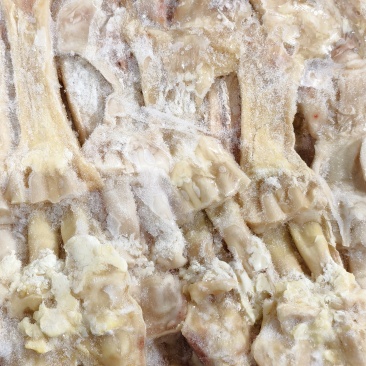 牛主筋牛蹄筋