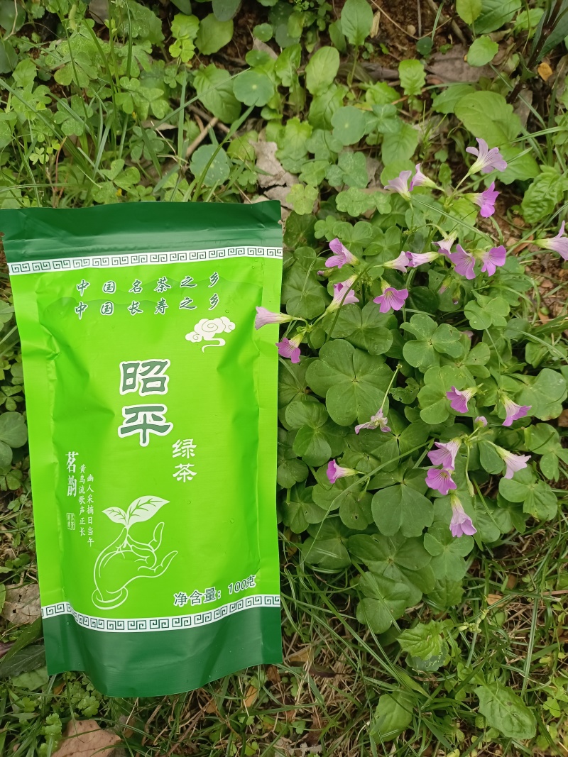 昭平毛峰绿茶