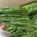 【精品优选】云南楚雄贡菜产地直发全国发货质量保证