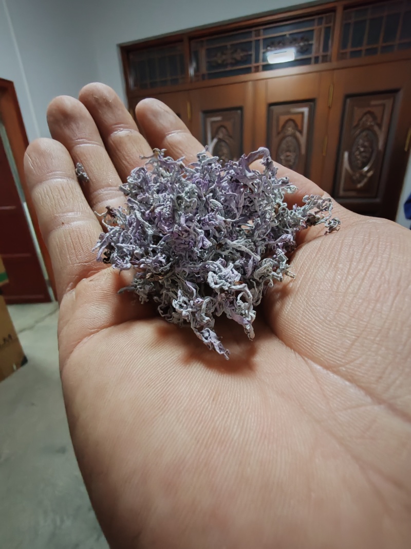湘西高山滕茶