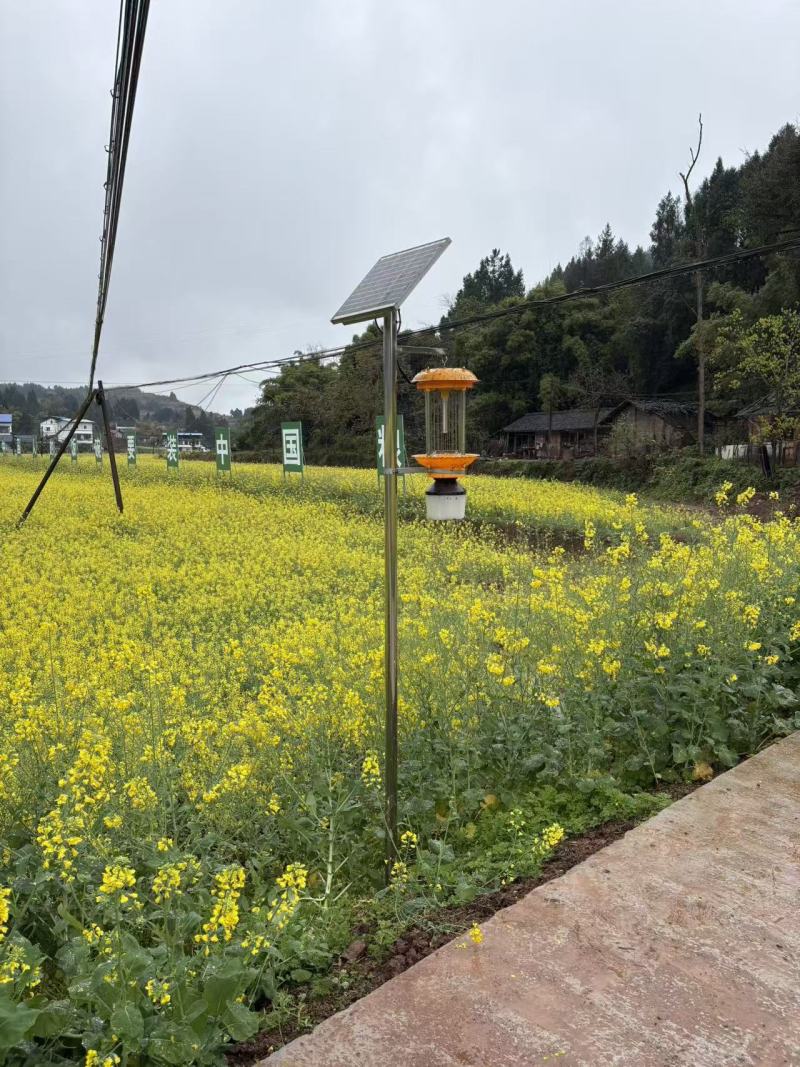 杀虫灯诱捕器粘虫板