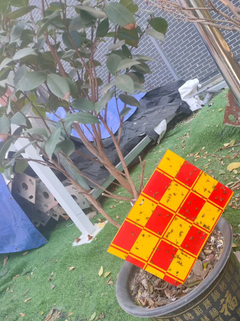 杀虫灯诱捕器粘虫板
